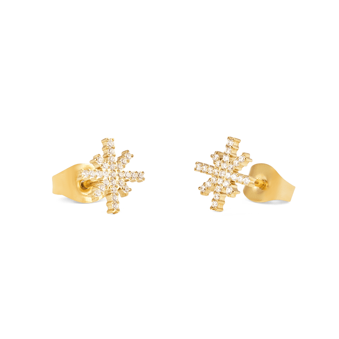 Daniel Wellington Mirelle Star Earring Gold