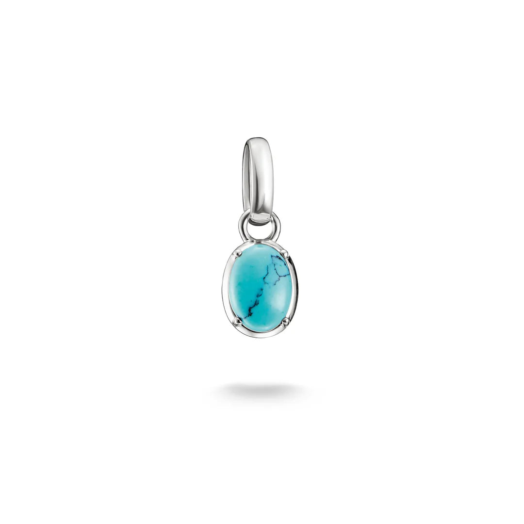 THOMAS SABO Connect Charm Birthstone December CCC1340