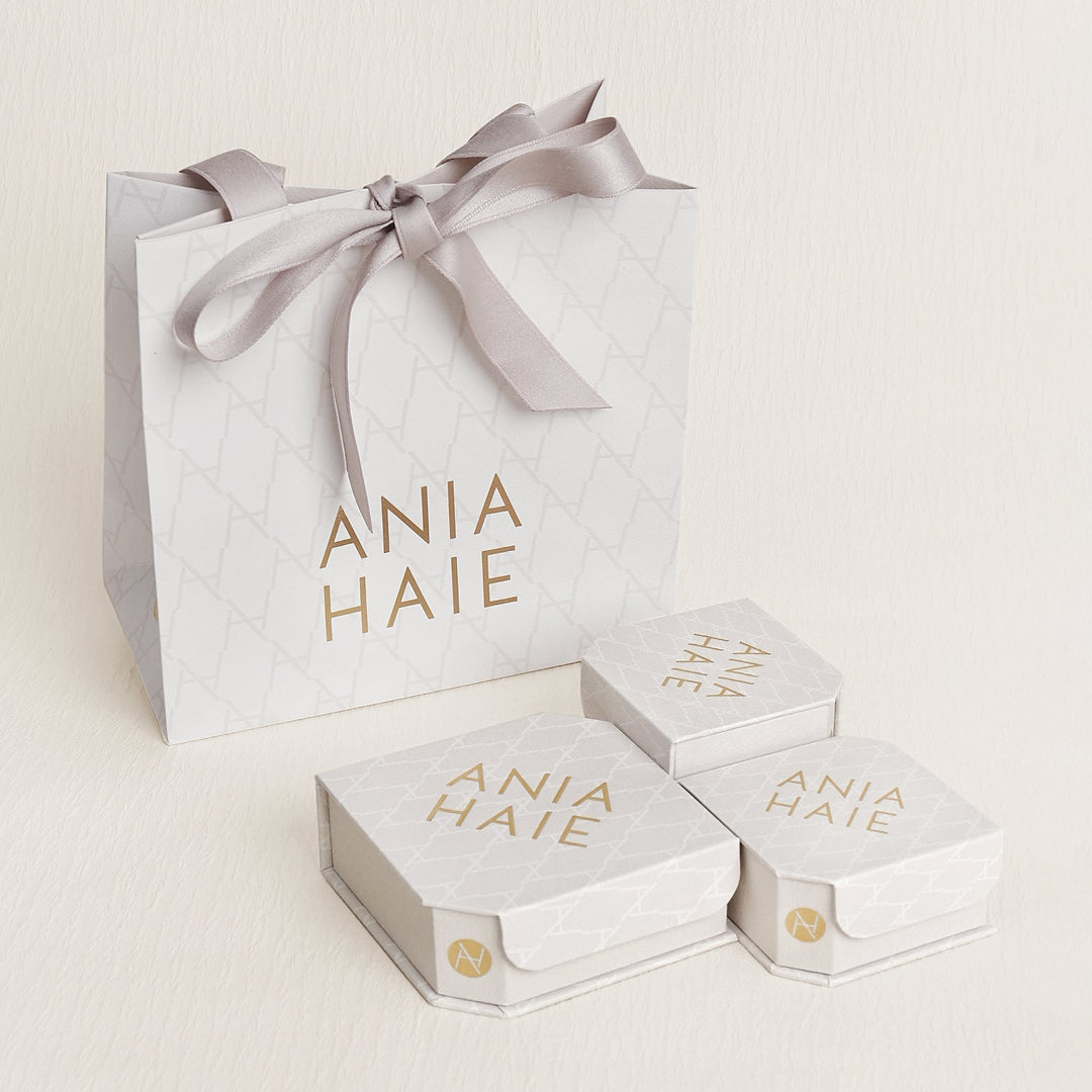 Ania Haie Silver Bezel Organic Pebble Necklace N076-03H