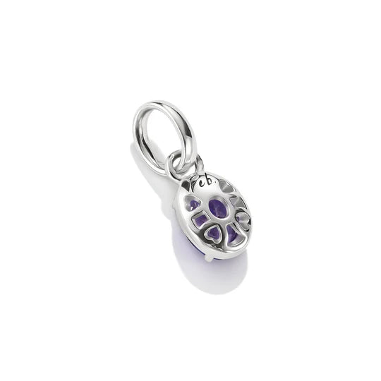 THOMAS SABO Connect Charm Birthstone February CCC1330