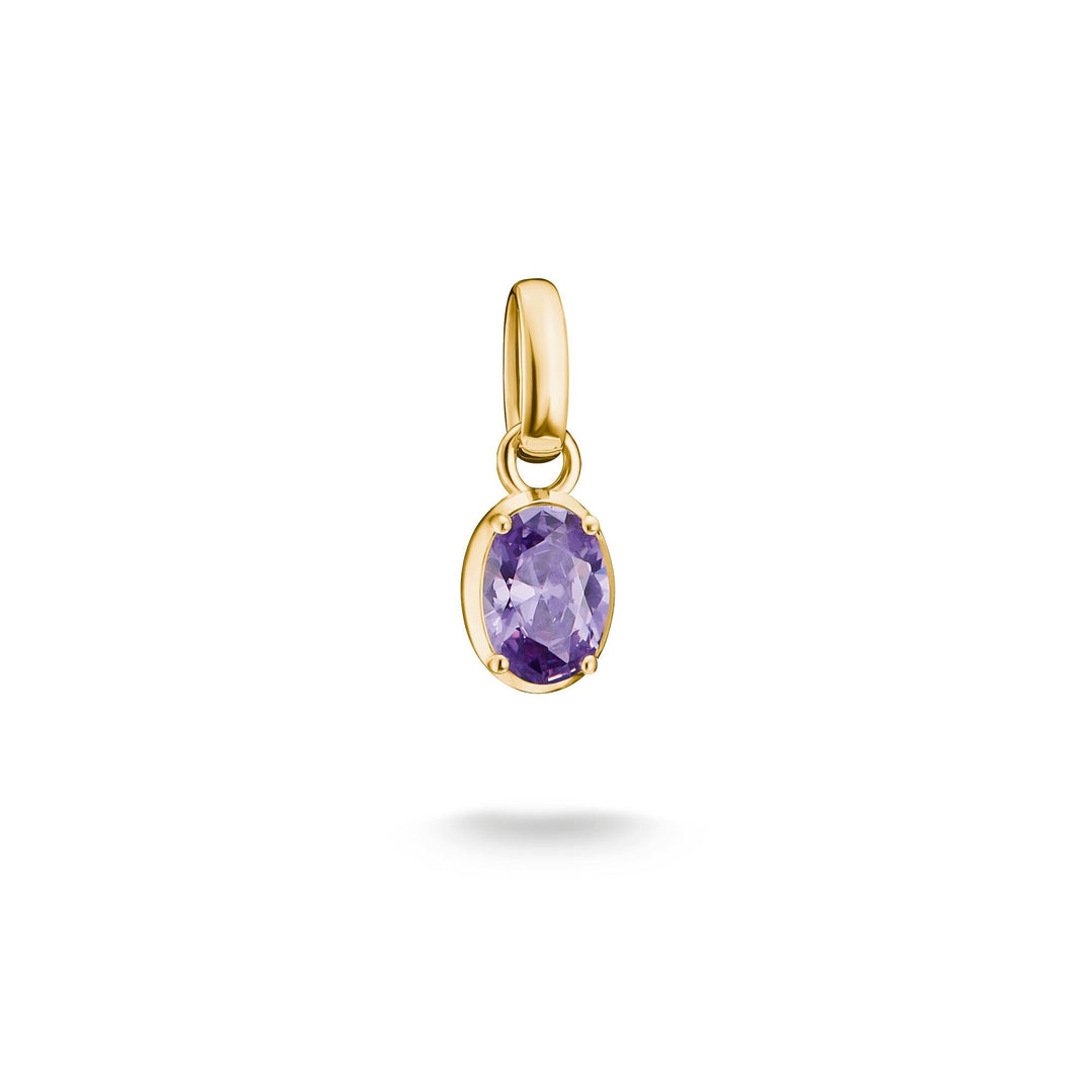 Thomas Sabo Gold-Plated February Birthstone Charm CCC1330MY