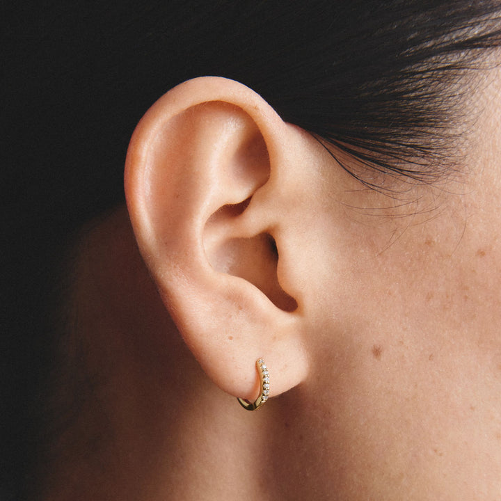 Hoop earrings with zirconia TCR780MY