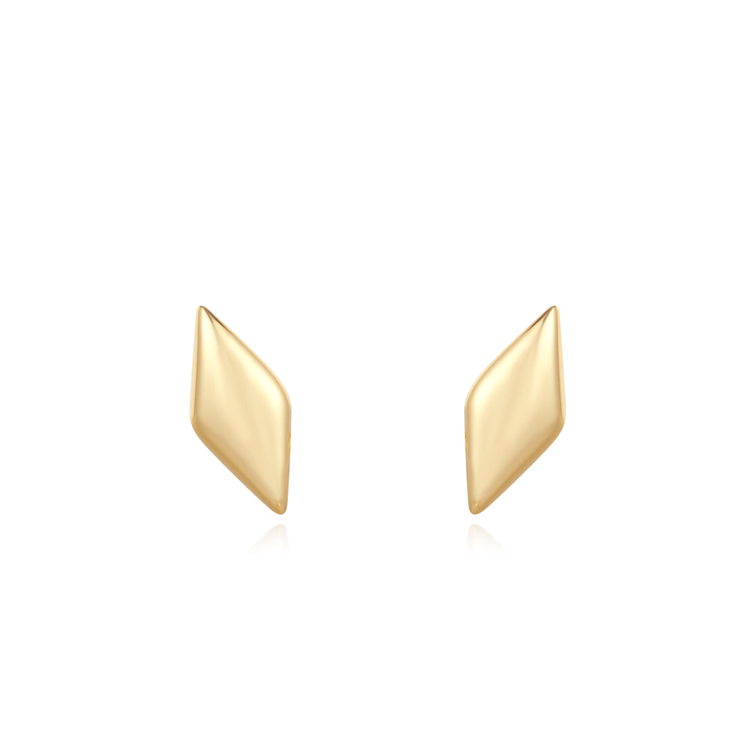 Ania Haie Gold Sparkle Studs E061-02G