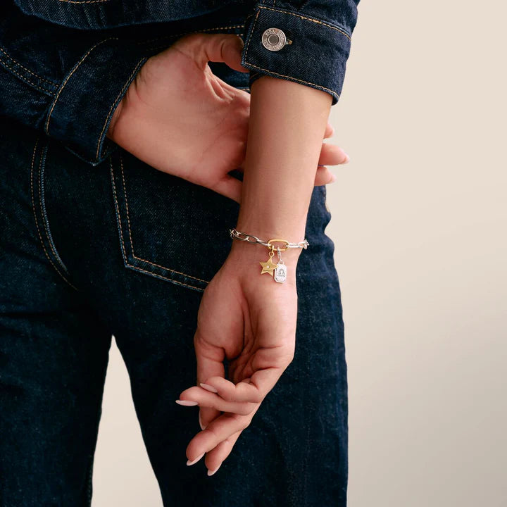 THOMAS SABO Charm bracelet bicolour with Connect link