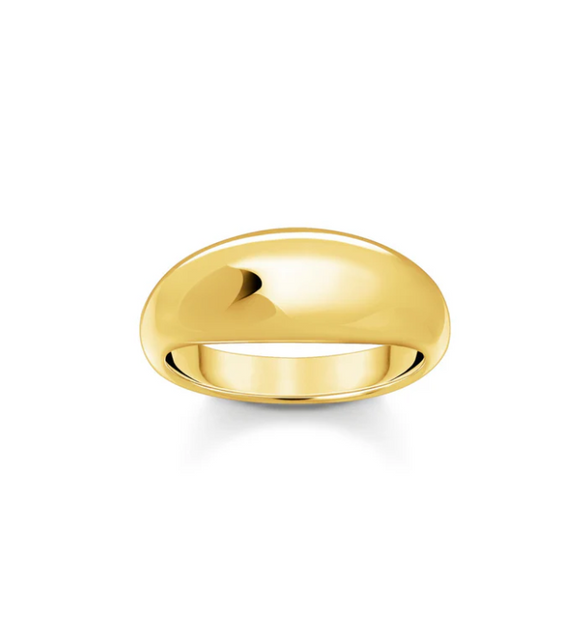 Ring in timeless design gold TR2472Y