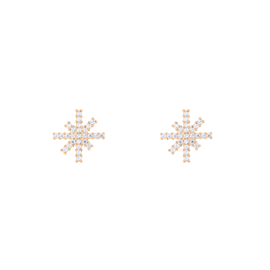 Daniel Wellington Mirelle Star Earring Rose Gold