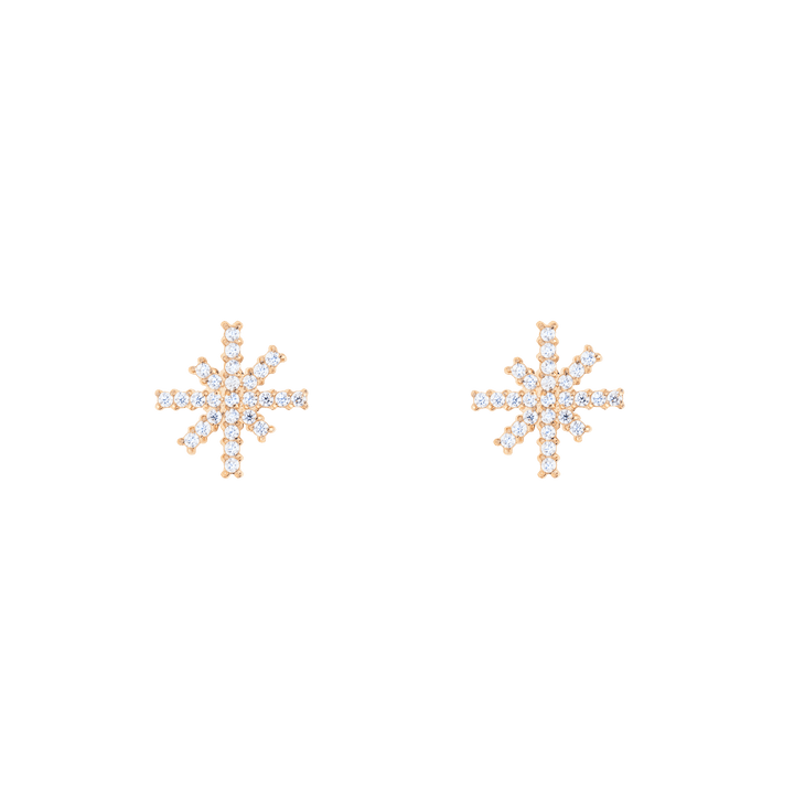 Daniel Wellington Mirelle Star Earring Rose Gold