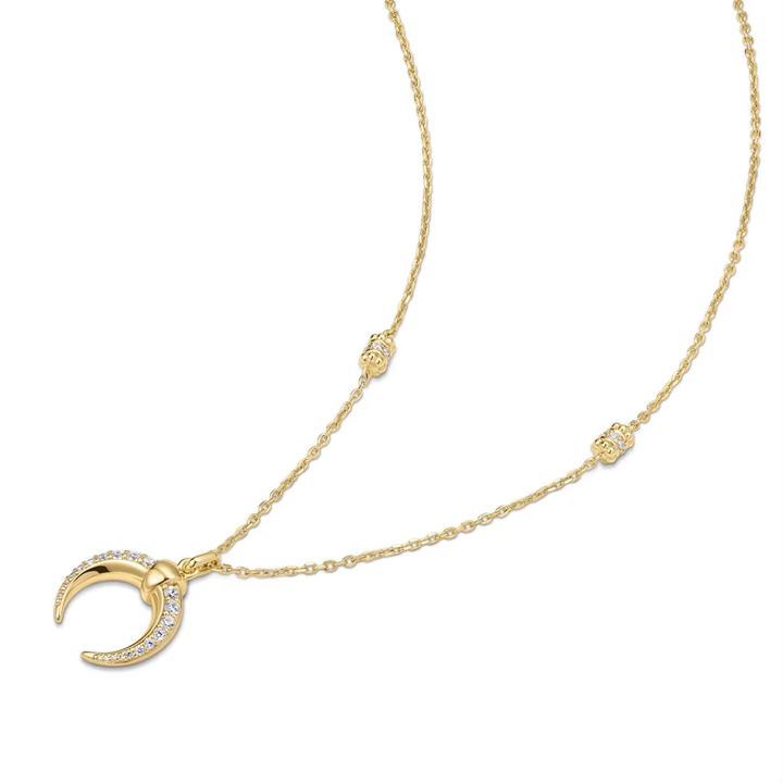 Ania Haie Gold Reversible Horn Necklace N072-08G