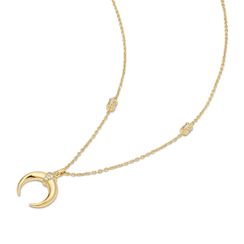 Ania Haie Gold Reversible Horn Necklace N072-08G