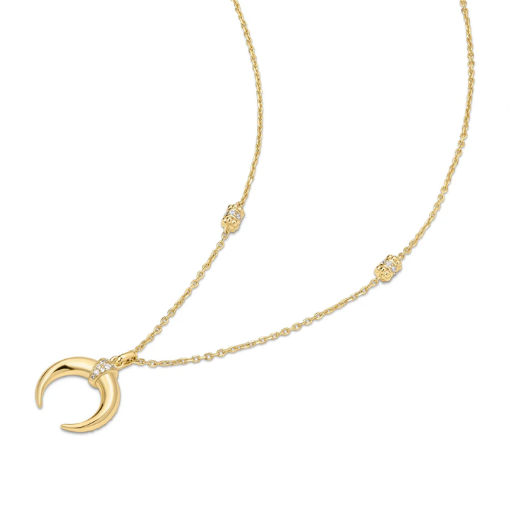 Ania Haie Gold Reversible Horn Necklace N072-08G