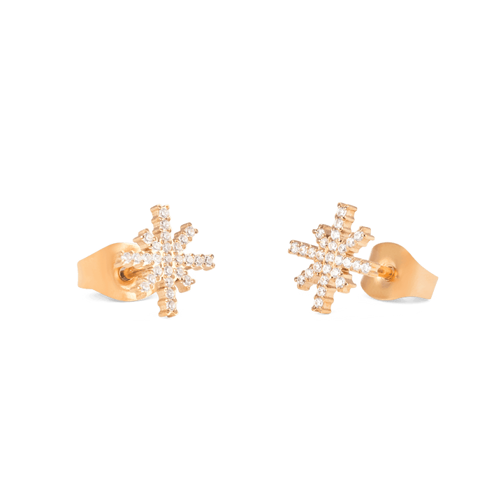 Daniel Wellington Mirelle Star Earring Rose Gold