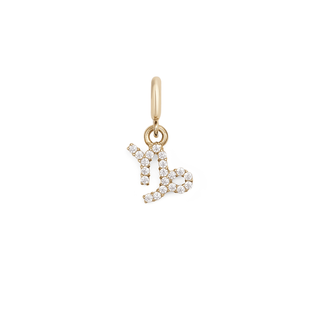 Daniel Wellington Zodiac Watch Charm Gold