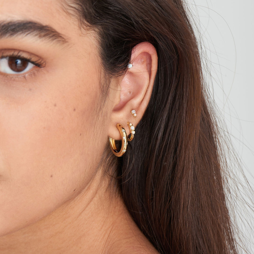 Gold Earrings 