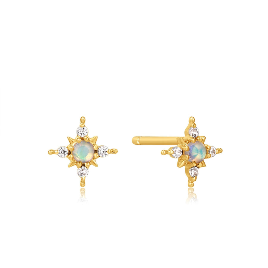 Ania Haie Earrings