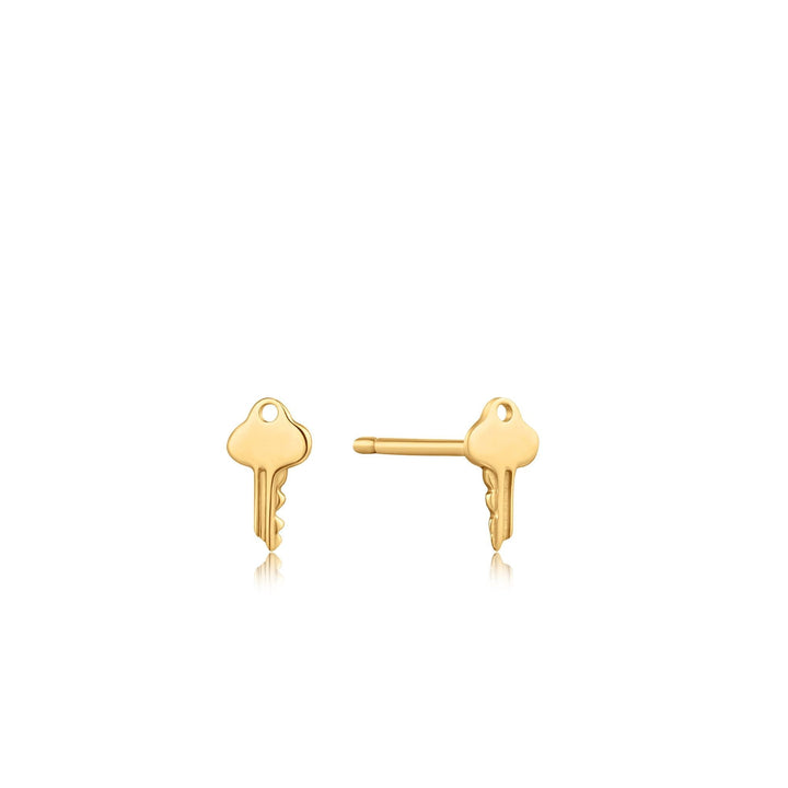 Ania Haie Earrings