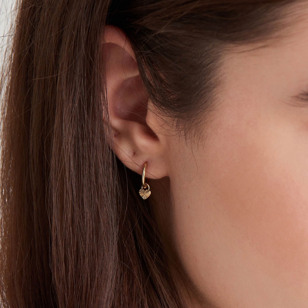 Ania Haie Gold Earrings