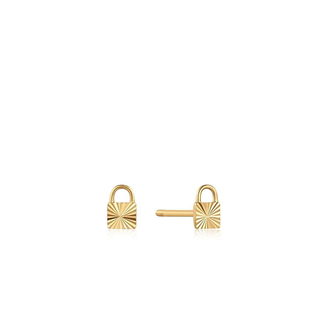 Ania Haie Earrings