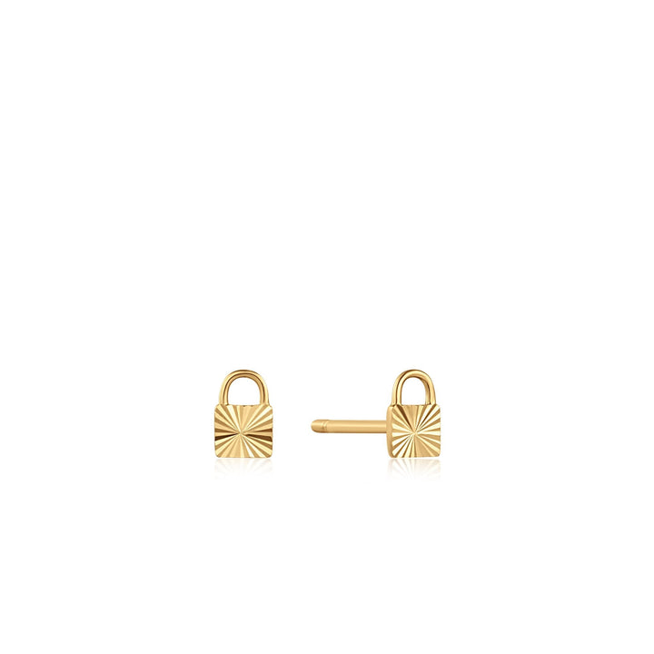 Ania Haie Earrings